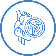 診療案内イメージ